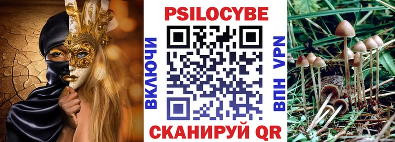 Галлюциногенные грибы Psilocybe  Купить закладки  Волжск 